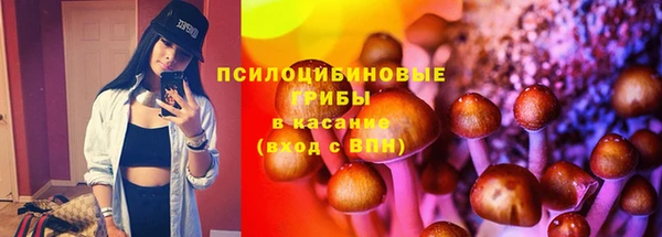 дживик Беломорск