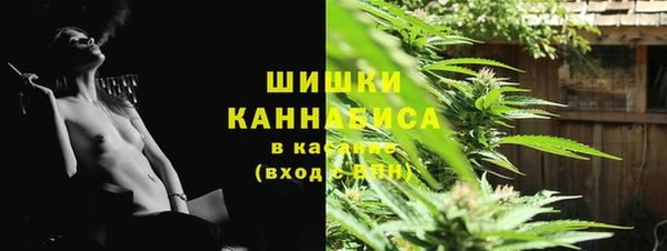 PSILOCYBIN Белоозёрский