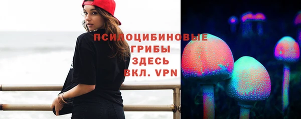 PSILOCYBIN Белоозёрский