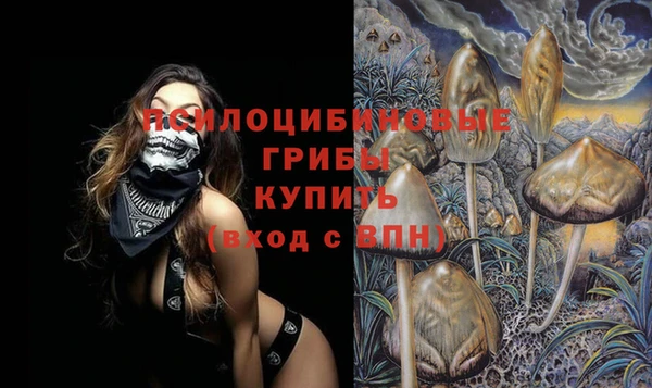 COCAINE Белокуриха